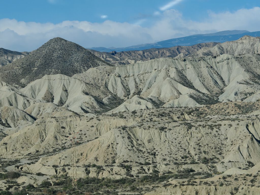 feem 7e3e6e0d945f7 img 20250128 103042