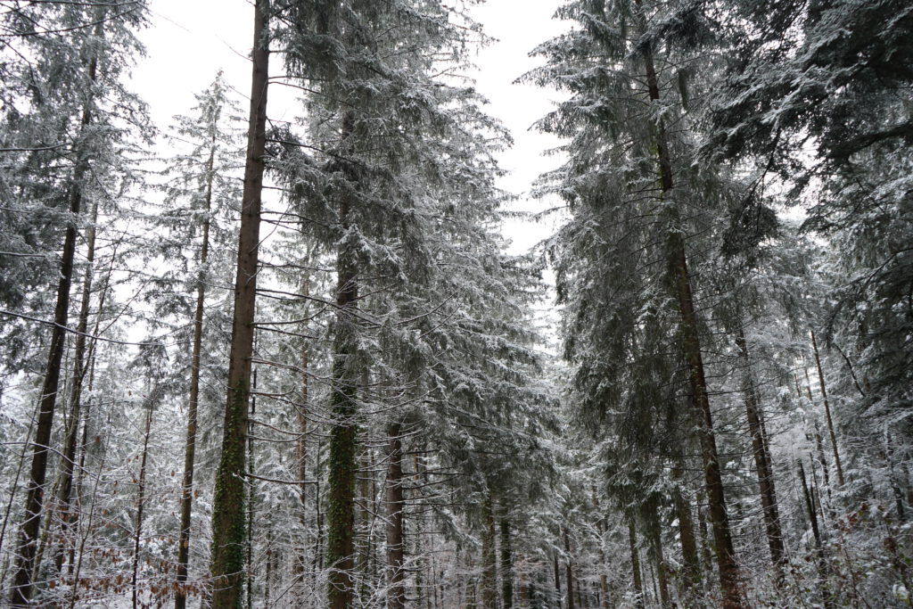 Winter Vanlife dsc00766