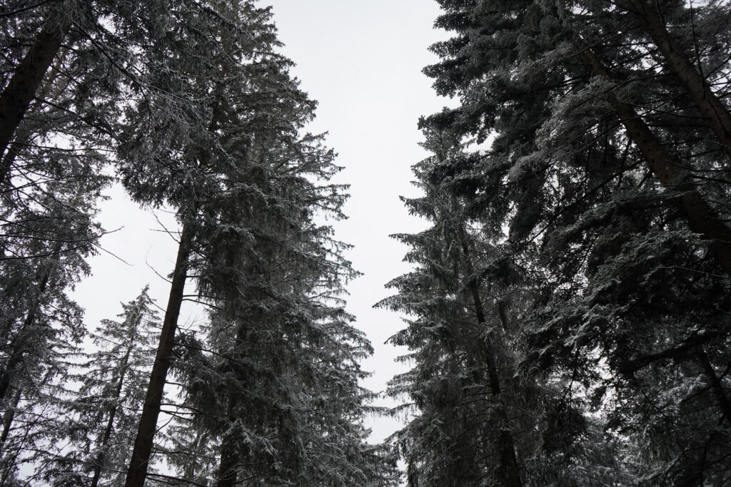 Winter Vanlife dsc00767