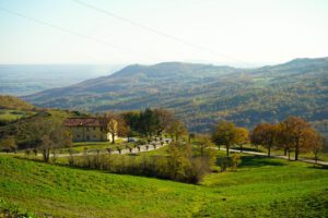 groß (dsc01037)